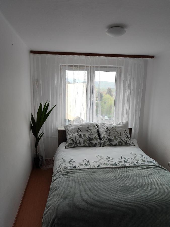Apartament Sweet Dreams Apartman Sanok Kültér fotó