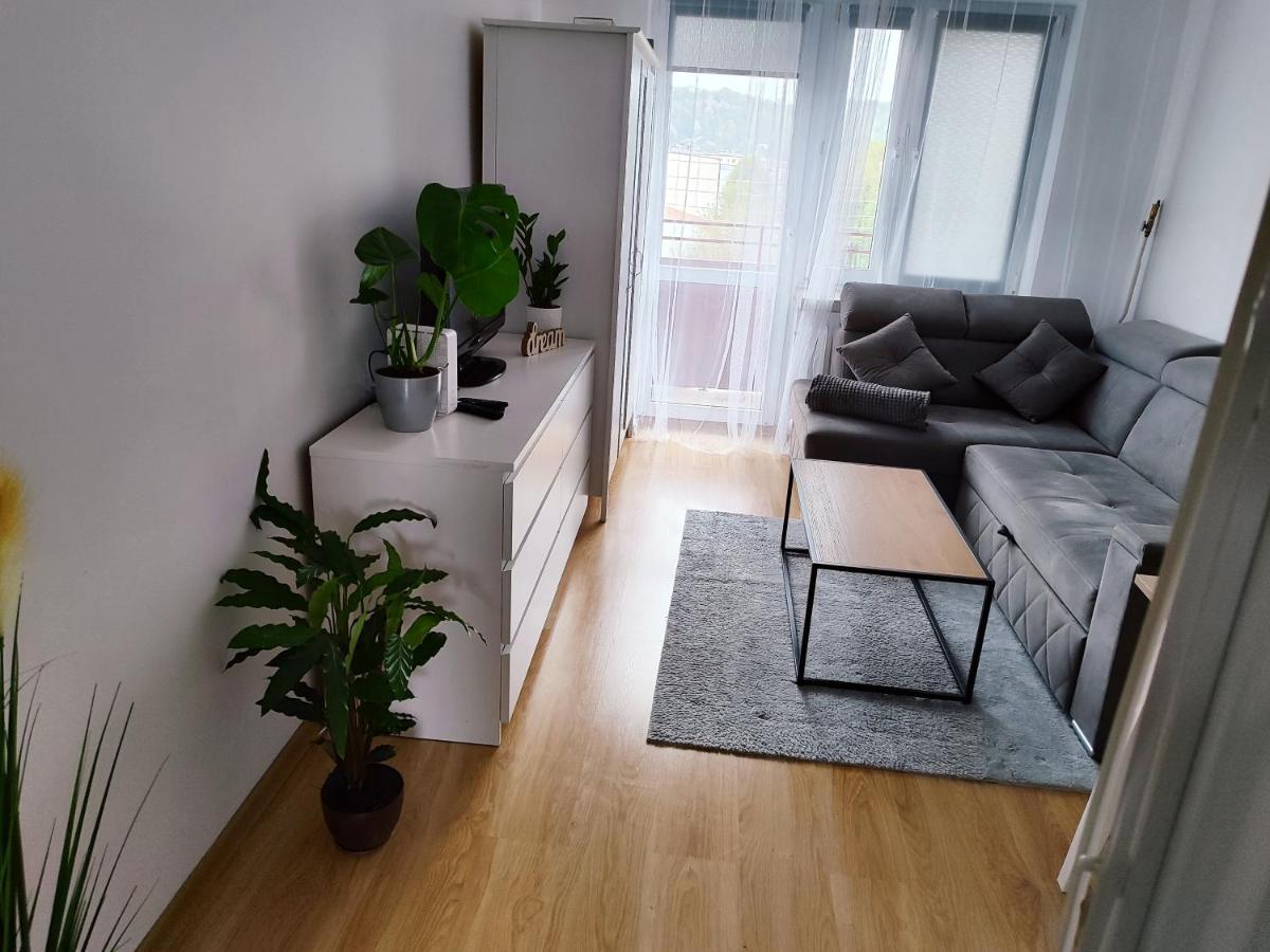 Apartament Sweet Dreams Apartman Sanok Kültér fotó